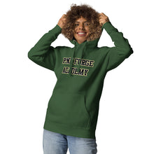Load image into Gallery viewer, PFA Falcon Hoodie - Green
